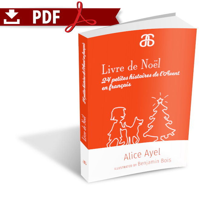 Livre de Noël – 24 petites histoires de l’Avent en français